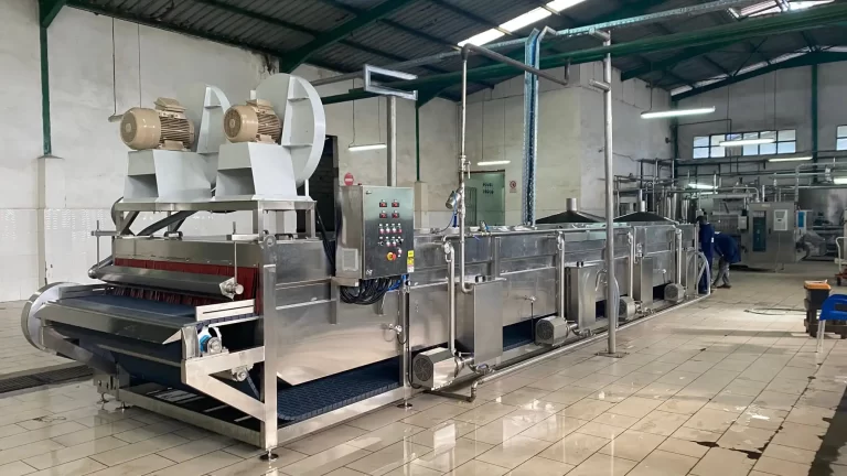 tomato processing tomato paste production equipment mymak proses